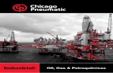 Oil, Gas & Petroquímicas - puskasur.com · Plataformas marinas Pozos en tierra Carcasa de Producción ... Soldadura y Percusión Cortar y amolar Bolting Perforación y Percusión