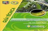 MANEJO INTEGRADO DE PLAGAS Y ENFERMEDADES EN BANANO ORGANICO · 3 manejo integrado de plagas y enfermedades en banano organico y convencional contenido i. introducciÓn ...