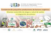 Fortaleciendo pequeños productores de banano orgánico · Plataformas: Reuniones CORDOM, 3 Mesas Técnicas Peru Proyectos banano: BAM, MAGAP, PIP con contactos ocasionales Medios: