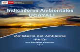 Ministerio del Ambiente -Perú-sinia.minam.gob.pe/modsinia/public/docs/3573.pdf · BOLETÍN DE INDICADORES AMBIENTALES REGIÓN UCAYALI 1. Aspectos generales de la región 9 ... Dirección