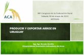 PRODUCIR Y EXPORTAR ARROZ EN URUGUAY - … · Generalidades de la producción y exportación de arroz en Uruguay La producción de arroz en departamento de Artigas Realidad del sector