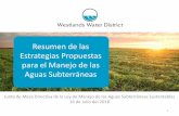 Resumen de las Estrategias Propuestas para el Manejo de ... · Junta de Mesa Directiva de la Ley de Manejo de las Aguas Subterráneas Sustentables 16 de Julio del 2018 1 Resumen de