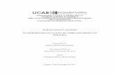 UNIVERSIDAD CATÓLICA ANDRES BELLO …biblioteca2.ucab.edu.ve/anexos/biblioteca/marc/texto/AAS6573.pdf · tradicional documento contenido en soporte papel y es el caso del documento