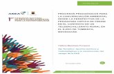 PROCESOS PEDAGÓGICOS PARA LA …anea.org.mx/CongresoEAS/Docs/364P-TEOR-MendozaFonsecaV2(corr).… · 2 procesos pedagÓgicos para la concienciaciÓn ambiental desde la perspectiva