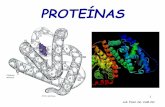 Presentación de PowerPointsgpwe.izt.uam.mx/.../lebo/EstructuraCelularI/EFC_I_AA__PROTEINAS.pdf · Las más numerosas y especializadas. Actúan como biocatalizadores de las reacciones