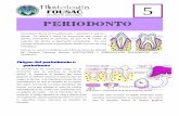 Periodonto - Apoyo para la Fac. de Odontología – USACapoyo.usac.gt/Periodonto.pdf · El periodonto de protección para su mejor compresión lo dividimos en encía y unión dentogingival.