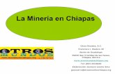 La Miner.a en Chiapas - otrosmundoschiapas.orgotrosmundoschiapas.org/analisis/La_Mineria_en_Chiapas.pdf · exploraciones en Guatemala, Nicaragua, Ecuador y Perú. ... Ávila, explicó