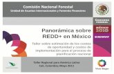 Panorámica sobre REDD+ en México · Unidad de Asuntos Internacionales y Fomento Financiero. Estructura del mecanismo REDD+: Los acuerdos de Cancún ... • Conservación de acervos