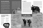 Los siete son animales BESTIARIO “FEISBUSERO”macoca.org/IMG/pdf/bestiario.pdf · mira altiva, por debajo de la cresta, pero casi por encima del pico, hacia el horizonte. Quizá