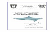 UNIVERSIDAD AUTÓNOMA DE BAJA CALIFORNIA …icmmeac.org/data/docs/Morteo-2002.pdf · Los tursiones son mamíferos (Clase: Mammalia ) que pertenecen al orden Ce tacea (ballenas, delfines