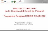 PROYECTO PILOTO en la Cuenca del Canal de …reddccadgiz.org/documentos/doc_771564487.pdf · mundial • La promoción de ... Primera reunión con VCS, ANAM, ACP y GIZ para desarrollo