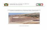 GOBIERNO DEL ESTADO DE MEXICO - En construcciónaplicaciones.semarnat.gob.mx/residuos/bibliovirtual/guia_para_el... · 8 Estudios y análisis previos por tipo de relleno sanitario