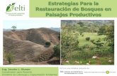 Estrategias Para la Restauración de Bosques en …elti.fesprojects.net/2013 APASPE/j._slusser_estrategias.pdf · Restauración de Bosques en Paisajes Productivos Ing. Jacobo L. Slusser