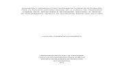 EVALUACIÓN Y DESARROLLO DEL PROGRAMA DE FLUIDOS DE ...tangara.uis.edu.co/biblioweb/tesis/2012/144246.pdf · evaluaciÓn y desarrollo del programa de fluidos de perforaciÓn para