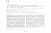 Artículo Original / 091008-2016 Variación de la ...flamencoinvestigacion.com/articulos/091008-2016-cdg-flamenco.pdf · obtenidos muestran oscilaciones suaves del centro de gravedad