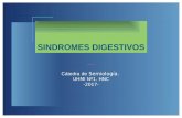 SINDROMES DIGESTIVOS - Cátedra de Semiologíasemiologiahnc.webs.fcm.unc.edu.ar/files/2016/08/2017-Sindromes... · síntomas asociados con anemia ... El inicio y el agravamiento del