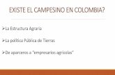 EXISTE EL CAMPESINO EN COLOMBIA? - Pontificia … · LA POLÍTICA PÚBLICA DE TIERRAS 1960 a 1975 Realizar una reforma agraria que cambiara la estructura de tenencia de la tierra