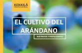 EL CULTIVO DEL ARÁNDANO - kekkilaprofessional.com · La fertirrigación es fácil y segura de manejar con los fertilizantes solubles en agua Kekkilä Superex. Su pH bajo es ideal