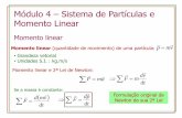 Módulo 4 Sistema de Partículas e Momento Linear - …capaz/fisexp1/Modulo-4.pdf · Módulo 4 –Sistema de Partículas e Momento Linear Momento linear Momento linear (quantidade