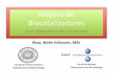 Mejorade’ Biocatalizadores’ - Conacyt · Estrategiasparaobtenerunmejorbiocatalizador& paraaplicacionesaescalasindustriales & Bornscheuer&etal.,Trends Biotechnol. 2002’ Introduction