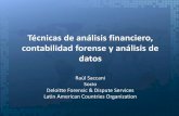 Técnicas de análisis financiero, contabilidad forense y ... · Técnicas de análisis financiero, contabilidad forense y análisis de datos Raúl Saccani Socio Deloitte Forensic