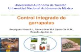 Control integrado de garrapatas - CONASAconasamexico.org.mx/conasa/2011_docs_19a_reunion/... · garrapatas en México, el problema de resistencia es todavía manejable, principalmente