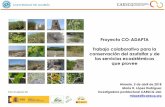 Proyecto CO-ADAPTA Trabajo colaborativo para la ... · Proyecto CO-ADAPTA Trabajo colaborativo para la conservación del azufaifar y de los servicios ecosistémicos que provee Almería,