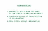 1.PROYECTO NACIONAL DE AREA ESTRATEGICA …laboratorios.fi.uba.ar/cididi/webcididi_ENG/foropdf/PRESENTACION... · 1.PROYECTO NACIONAL DE AREA ... Metanol OorAir 2 PROX CO < 10 ppm