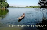 BIODIVERSIDAD DE BOLIVIA - Probioma · Se entiende por biodiversidad a la variedad y variabilidad de genes, especies y ecosistemas, ... COSTA RICA 850 BOLIVIA + 1400 MEXICO + …