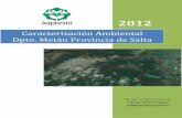 Caracterización Ambiental Dpto. Metán Provincia de Salta · Se debe enfatizar que las Sierras Subandinas (SS)), se ubican en la cabecera de las distintas subcuencas de las zonas