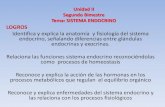 Unidad II Segundo Bimestre Tema: SISTEMA · •Morfo fisiología del sistema endocrino ... •Cartilla •Producción Textual ... de tal manera que la hipófisis recibe estímulos