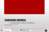 SANIDAD ANIMAL - fcvinta.files.wordpress.com · •Norma técnica y manual de procedimientos para el control de la hidatidosis en la Republica Argentina. Ministerio de Salud y OPS.