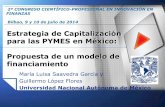 Estrategia de Capitalización para las PYMES en México ... · financiamiento María Luisa Saavedra García y Guillermo López Flores Universidad Nacional Autónoma de México 2º