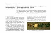 Lucha contra el hongo del cerezo Gnomonia …€¦ · compararon mediante el Test de Duncan y Análisis de la Varianza. ... contra el hongo del cerezo Gnomonia eryrhrostoma (Pers.)