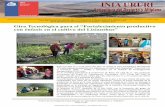 el Convenio INIA Los principales objetivos para el ...platina.inia.cl/ururi/docs/boletin/boletin_inia_ururi_004.pdf · agricultores los manejos realizados en el ensayo y las ventajas