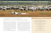 LOS PERROS PROTECTORES DE REBAÑO · Porcentajes calculados sobre el total de animales reportados al SAG en cada región en el año 2014. ... proteger sus ovejas y cabras de los predadores