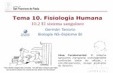 Tema 10. Fisiología Humana - dpbiologia.weebly.comdpbiologia.weebly.com/uploads/2/1/5/5/21553524/gtp_t10.fisiologia... · de desecho. APLICACIÓN: ... La circulación sanguínea