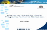 JAL FG 2004 - Proyecto de Evaluación y Análisis de ... · Enfoque de la evaluación ... Capítulo 1 Incidencia del entorno en las actividades apoyadas por el Programa ... 4.2.5