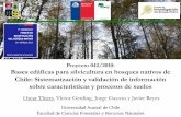 Proyecto 042/2010: Bases edáficas para silvicultura en ...€¦ · silvicultural y sus posibles efectos en la mantención de la productividad . Objetivos específicos del proyecto