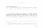 CAPÍTULO 3 Análisis del corpus: clases semánticas 3.0 ...tesis.uson.mx/digital/tesis/docs/20138/Capitulo3.pdf · clases semánticas de adjetivos que existen en español, el espacio