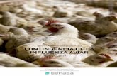 MANUAL DE PROCEDIMIENTOS CONTINGENCIA …€¦ · MANUAL DE PROCEDIMIENTOS Programa de Sanidad Aviar Dirección Nacional de Sanidad Animal CONTINGENCIA DE LA INFLUENZA AVIAR año