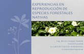 Experiencias en reproducción de especies forestales …elti.fesprojects.net/2013 Agua Salud/participant_m.campos.pdf · Escuela de Ciencias Ambientales Universidad Nacional EXPERIENCIAS