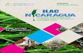 INDICADORES DE SEGUIMIENTO - pnuma.org Nicaragua 2011.pdf · Manejo de cuencas ` Indicador 2.2.1.1. Proporción de cuencas que tienen comités de manejo ... Meta ILAC 3.1. Ordenamiento