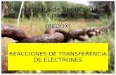 REACCIONES DE REDUCCIÓN Y OXIDACIÓN (REDOX) · AJUASTE Y ESTEQUIOMETRÍA REDOX Método ión-electrón A partir de la ecuación sin ajustar, se identifican los átomos que se oxidan