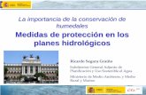 La importancia de la conservación de humedales …hispagua.cedex.es/sites/default/files/proteccion_planes_hidrologic... · Implantar progresivamente asignaciones hídricas para los