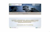 Costos competitivos. - ASAGAasaga.org.ar/descargas/material/CURSO_CRUSHING/CRU9_Ferrero.pdf · EXTRACTOR DESOLVENTIZED MEAL TO DRYER ... Diseño de baja pérdida de carga y alta capacidad