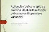 Aplicación del concepto de proteína ideal en la nutrición ... · Por lo tanto, el estudio de la nutrición proteica trata principalmente de los ... supuesto, modificado por el