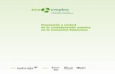 Prevención y control de la contaminación acústica en la ... ECOempleo 2007.pdf · 2.1. El problema de la contaminación acústica La evidencia de las consecuencias negativas del