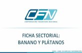 FICHA SECTORIAL: BANANO Y PLÁTANOS - cfn.fin.ec · Banano y plátanos Datos generales: • Crece en las más variadas condiciones de suelo y clima, sus condiciones óptimas serían
