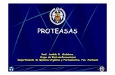 PROTEASAS - webs.ucm.eswebs.ucm.es/info/btg/personales/andalcan/PROTEASAS.pdf · Prof. A. R. Alcántara, Grupo de Biotransformaciones, Facultad de Farmacia, UCM 2 Enzimas que catalizan